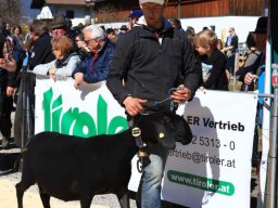 2019_ausstellung polling_297